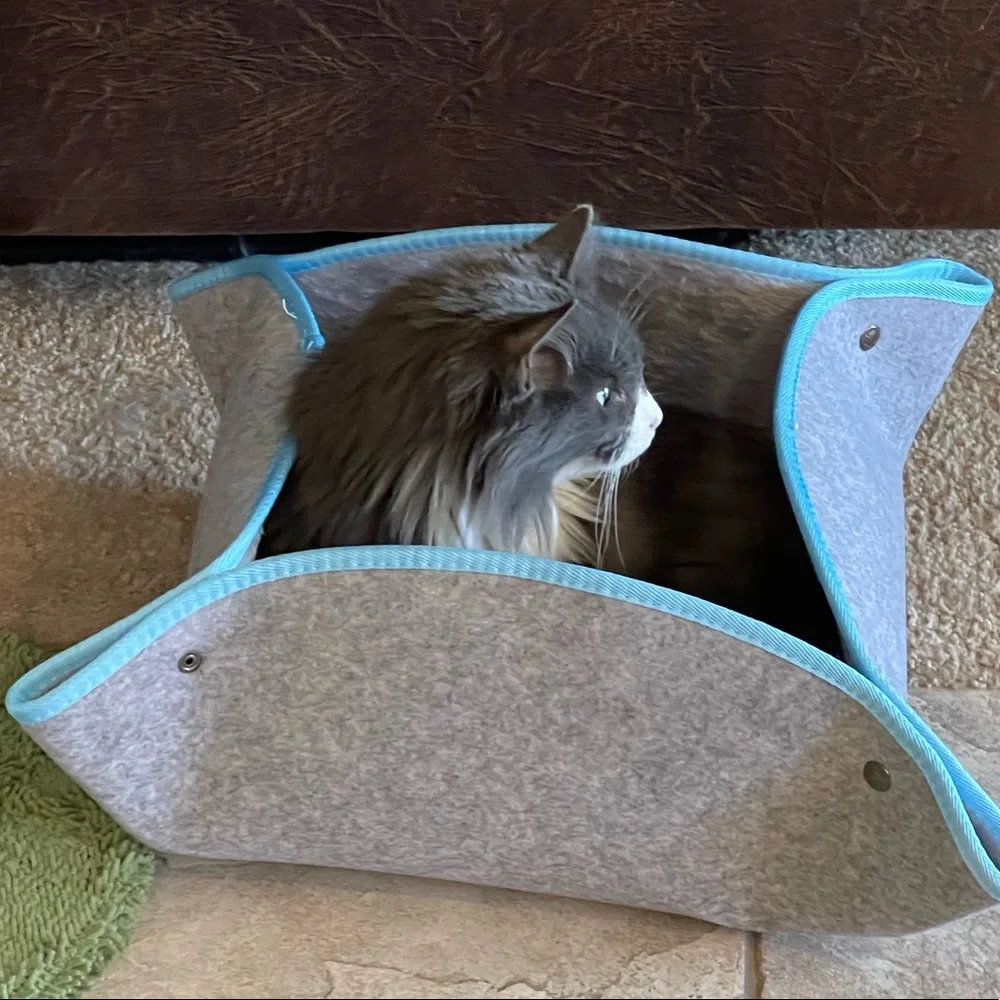 Portable cat bed. Snaps together